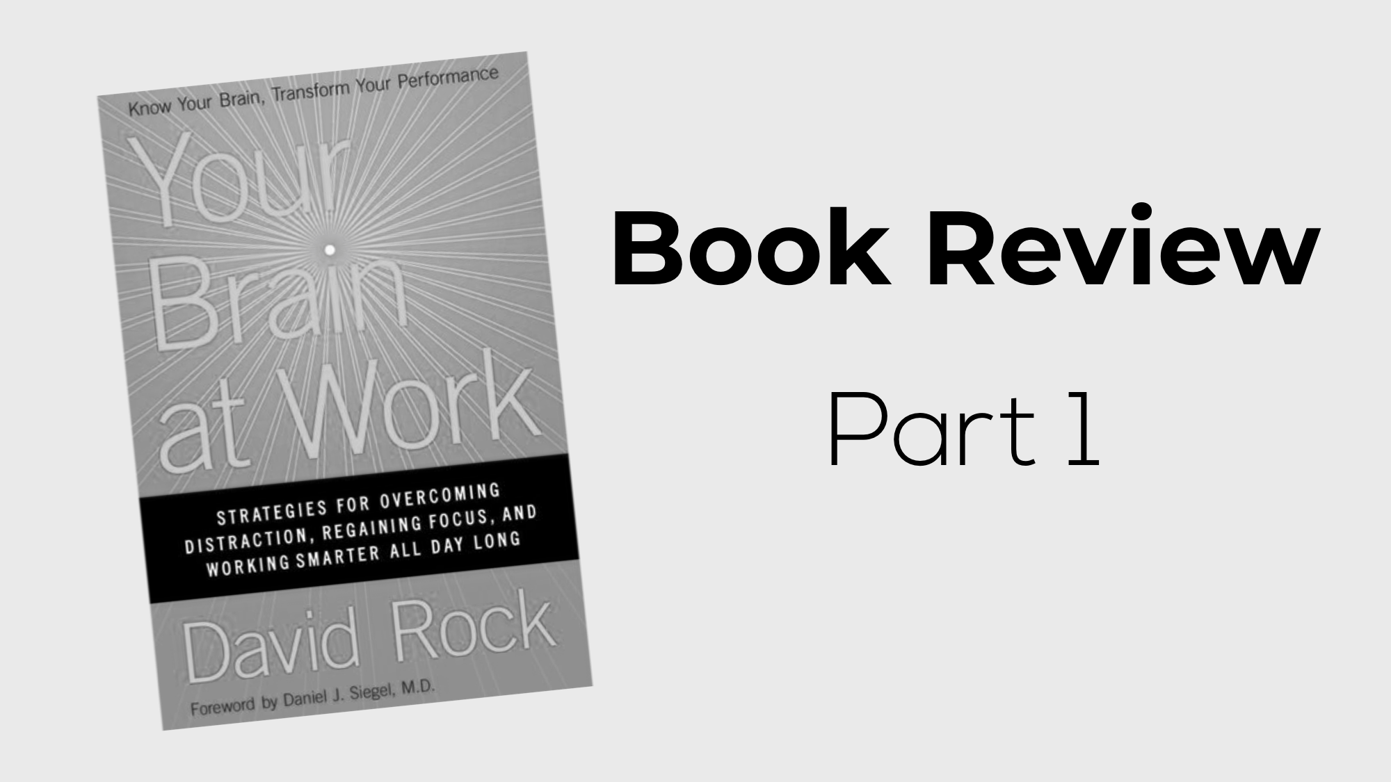 Your Brain at Work Book Review Part 1
